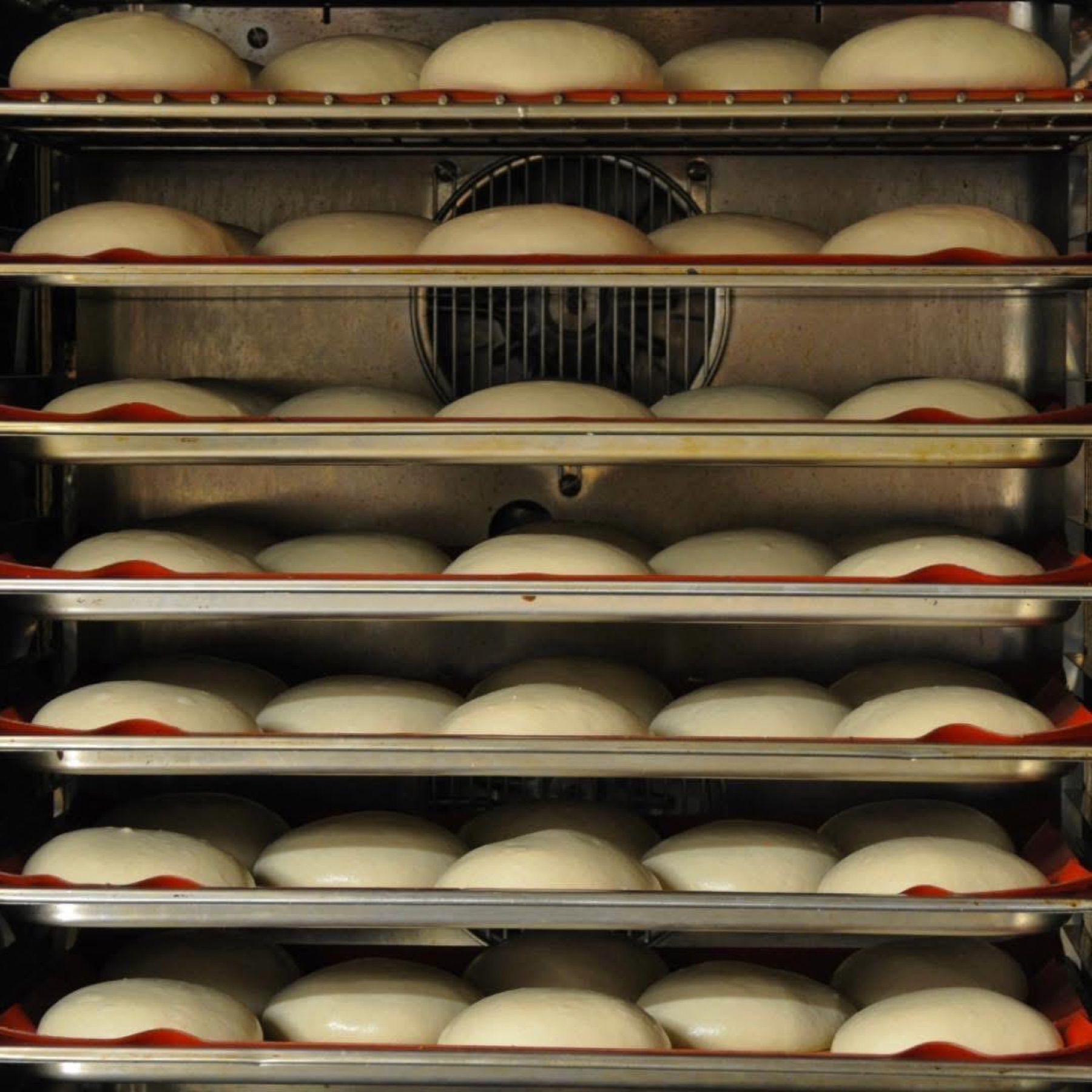 Pane per hamburger fatto in casa